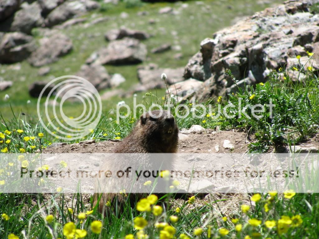 CrestonePeak149.jpg