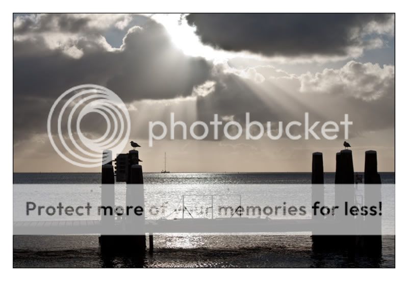Fotografie