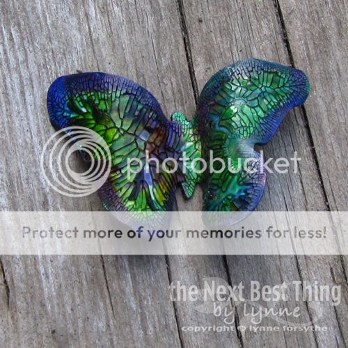 BUTTERFLY-1.jpg