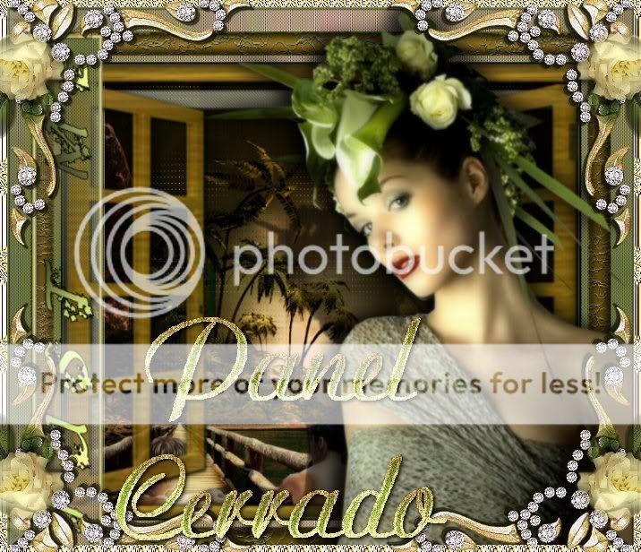 Image4panelcerrado.jpg picture by ALMAIRENE1