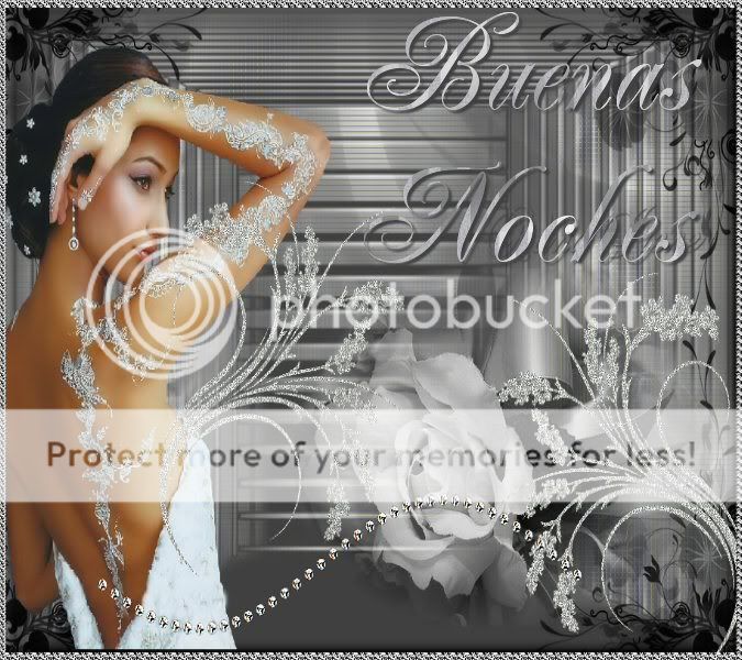 Image27buenasnoches.jpg 