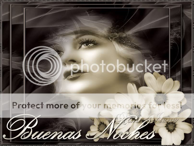 Image27buenasnoches.jpg 