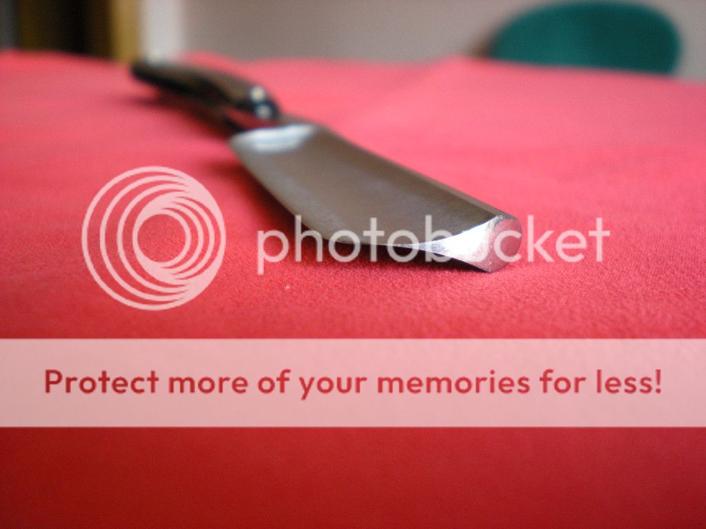 http://i728.photobucket.com/albums/ww285/Zoroastro702/Gold%20Dollar/DSCN2319_zps152e2a5e.jpg