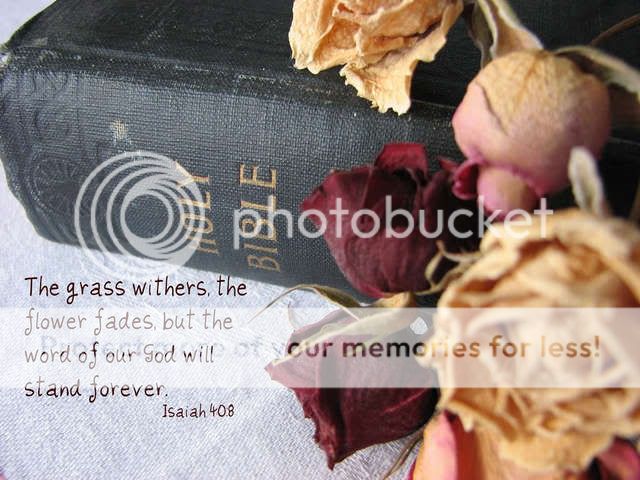 Holy Bible Image