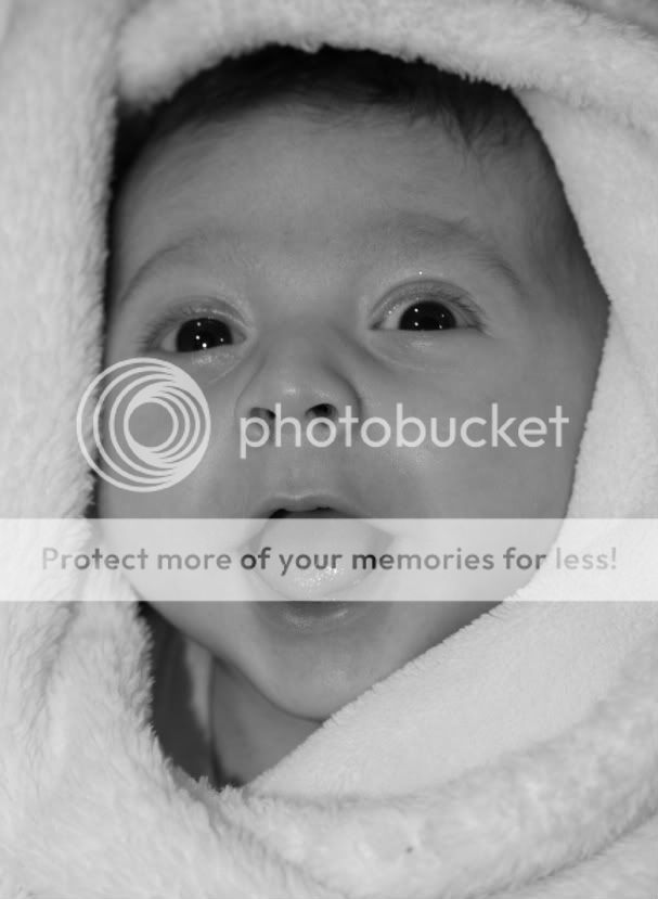 IMAGE: http://i728.photobucket.com/albums/ww287/realtorguy508/IMG_3622.jpg