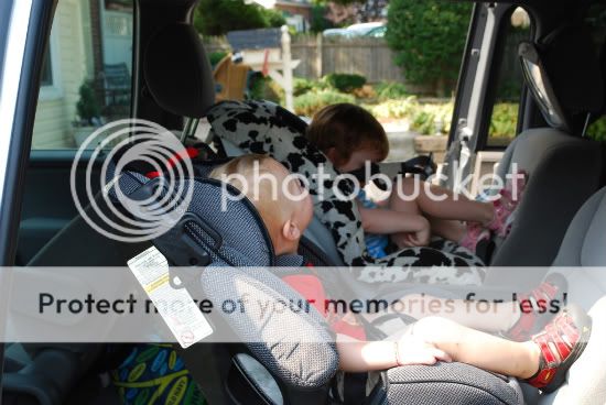 about 12.5 weeks pregnant 12 5 weeks pregnant. about 12.5 weeks pregnant